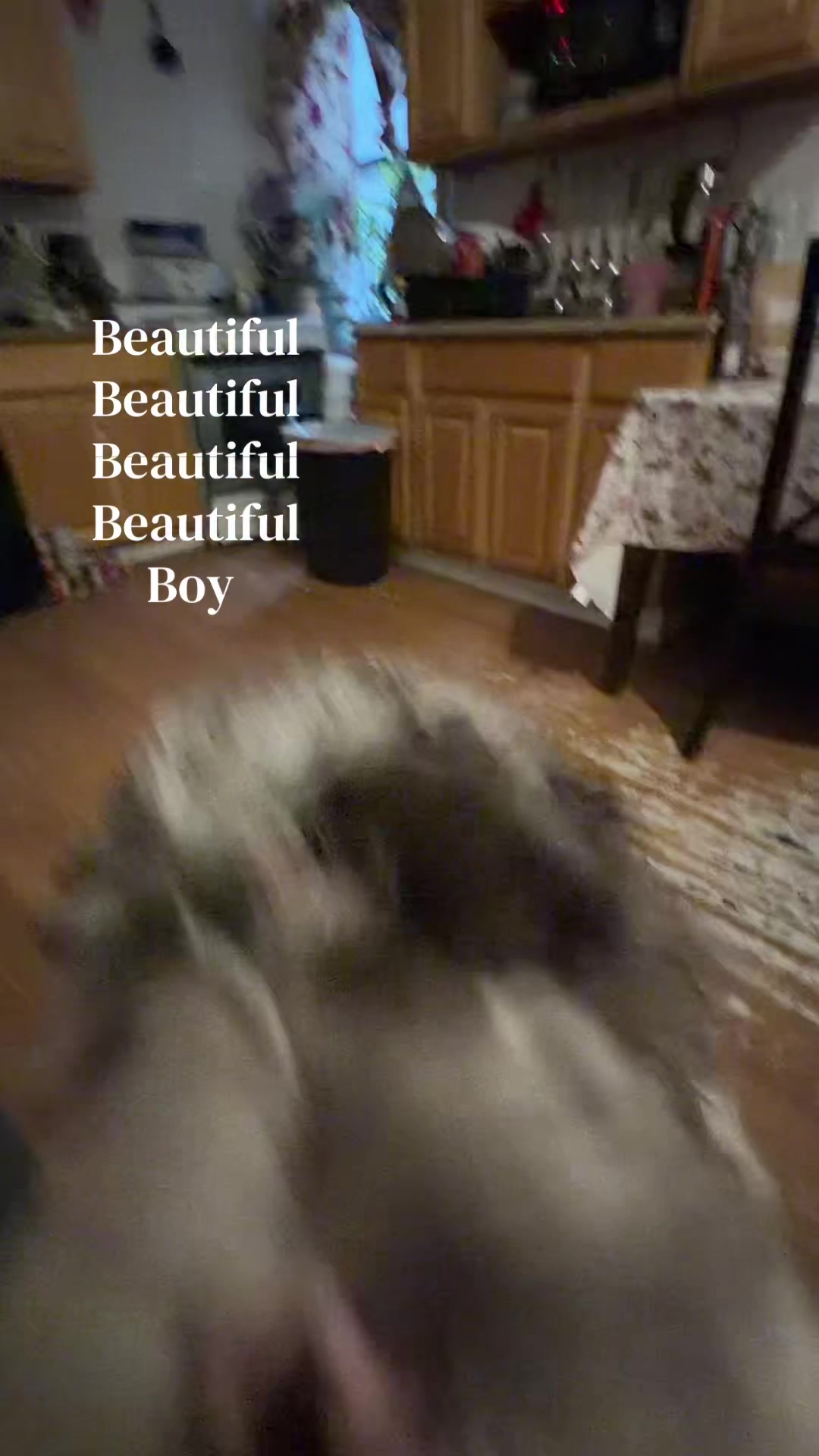 @⋆౨ৎ𝓔𝓵𝓵𝓮𝓻𝔂𝓼𝔀𝓸𝓻𝓵𝓭˚❀