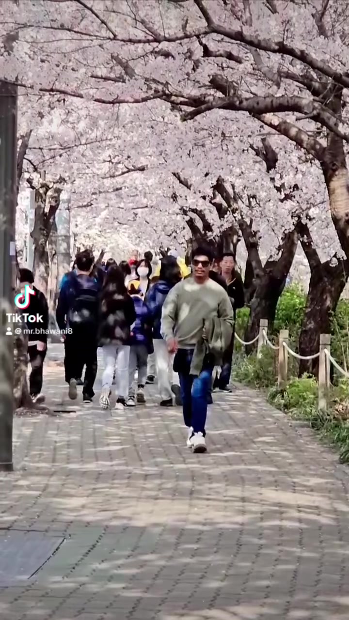 @🇳🇵Mr.BHAWANI🇰🇷
