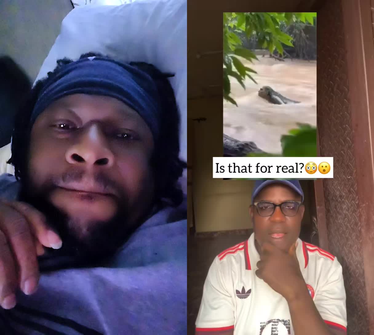 @Awaab