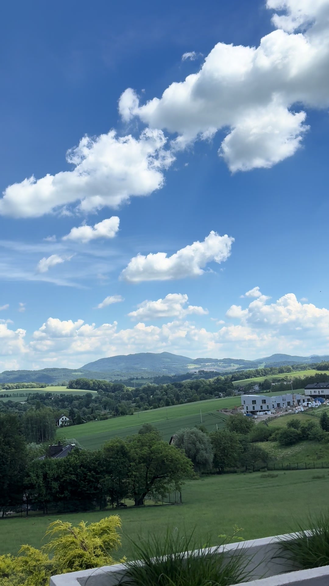 @🌴🌍𝐎𝐋𝐈𝐕𝐈𝐀🇵🇱🇩🇪🇪🇸