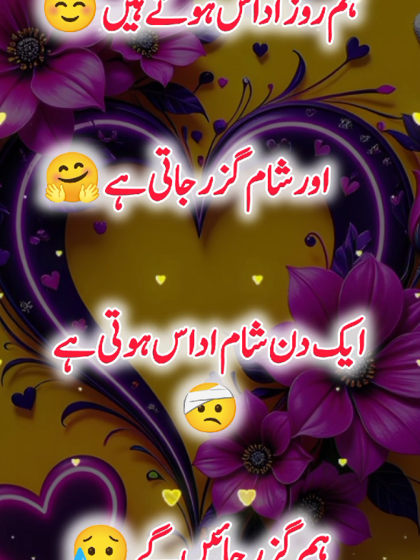@Janyman379