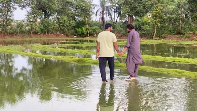 @چوہدری شیری ڈھلوں