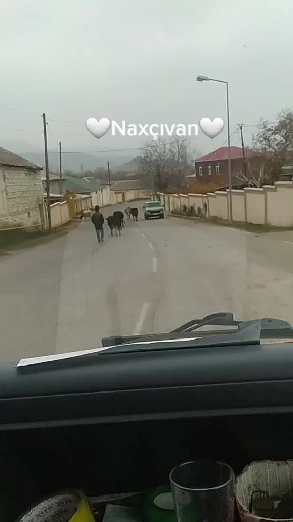 @AYAZ BABAYEV
