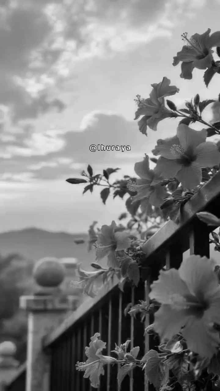 @ثــريا ✨