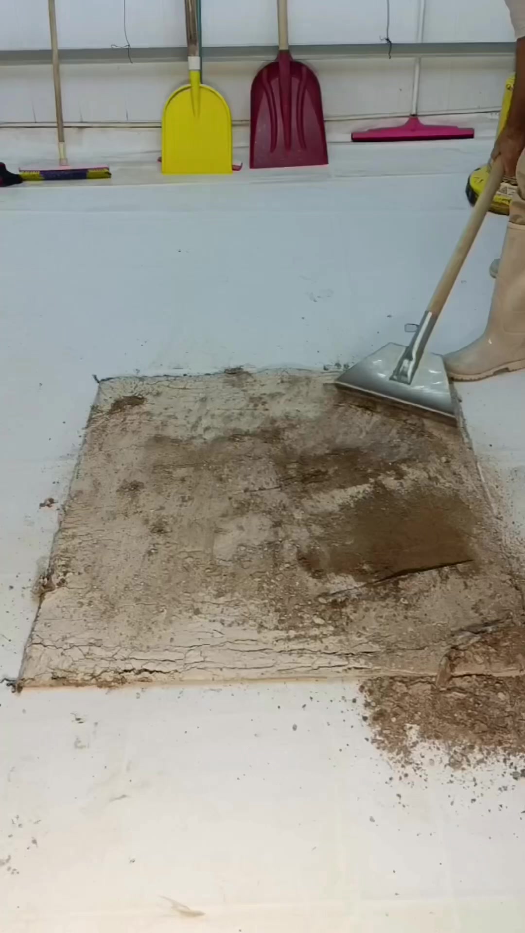 @Amazing rugs Cleaning