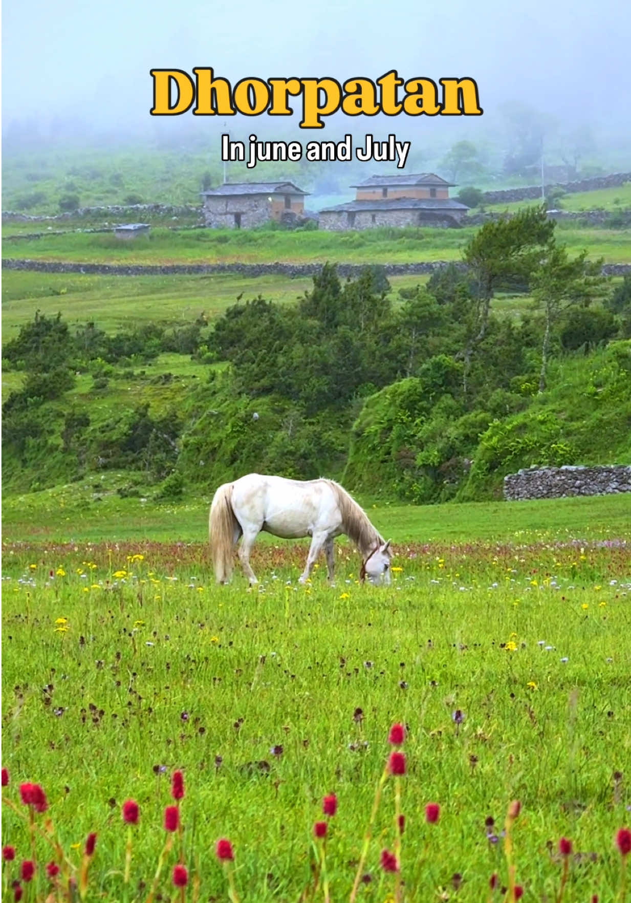 @Shris on Travel