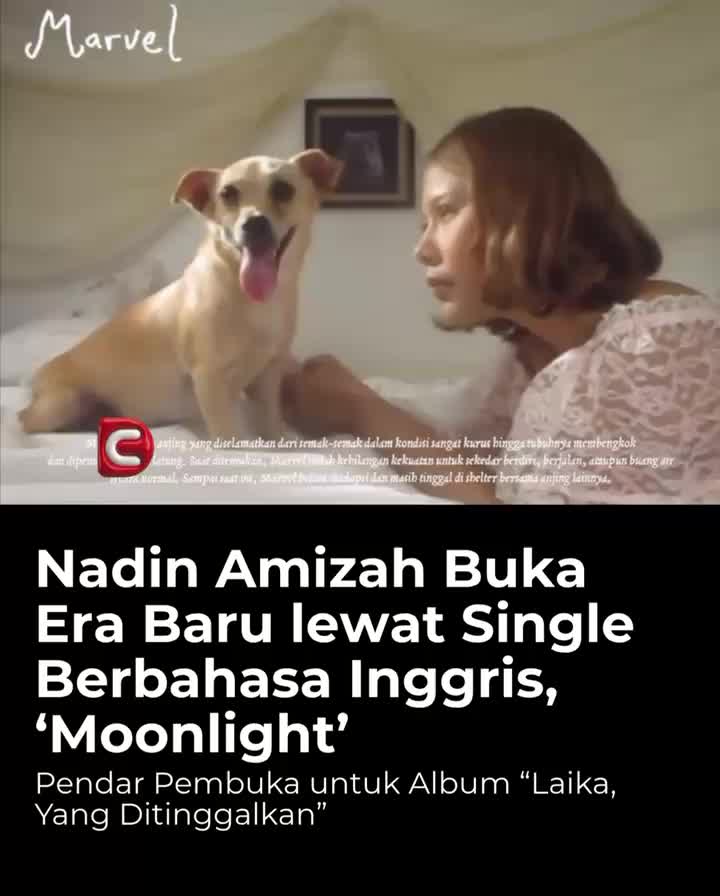 @creativedisc