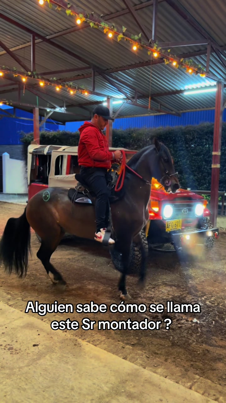 @Solo Caballos