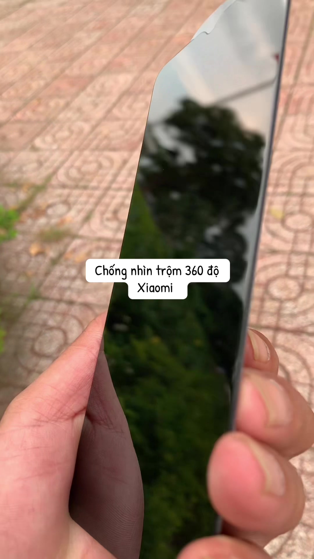 @nguyenvinh6666
