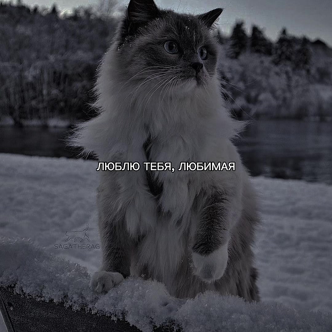 @ХХИКА