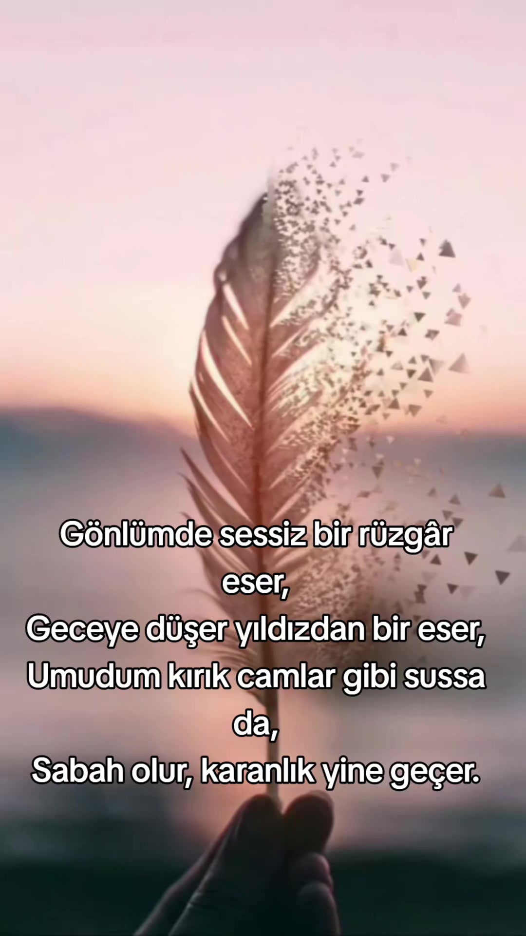 @yılmaz Çetinkaya