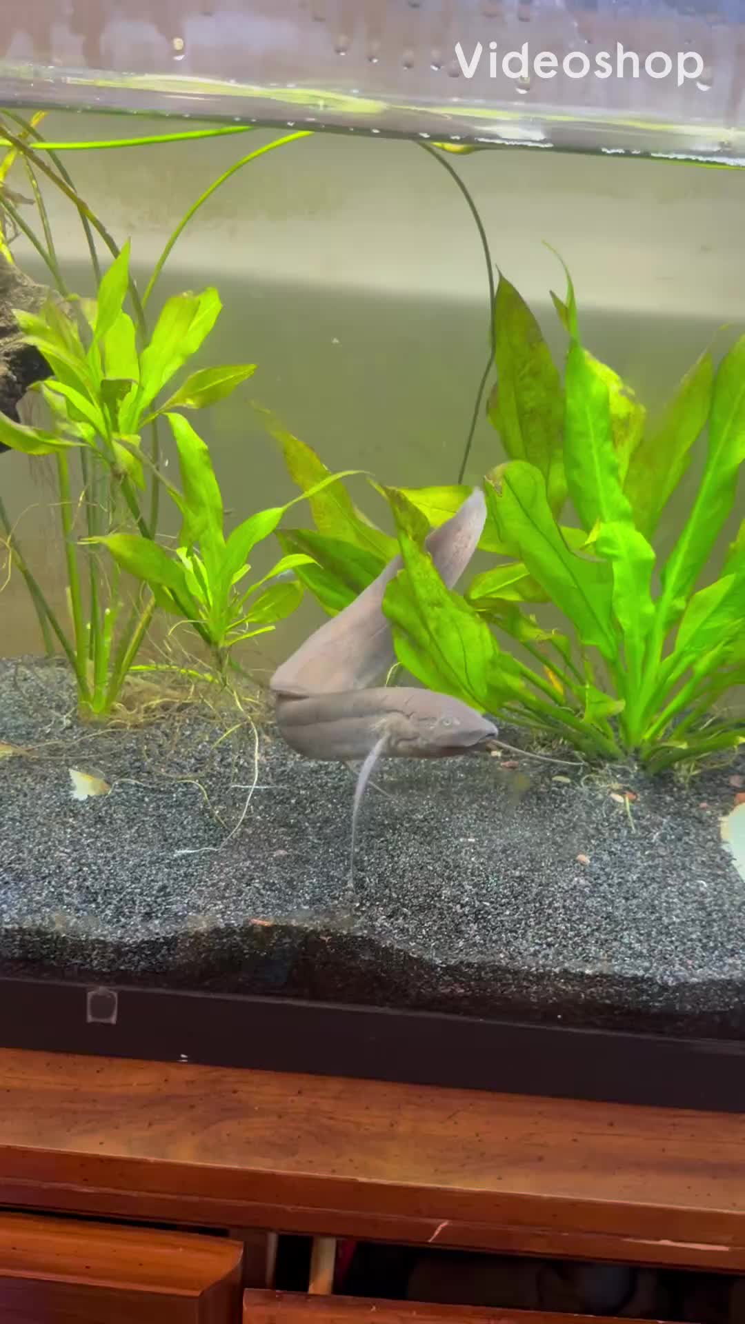 @fishdaddy2002