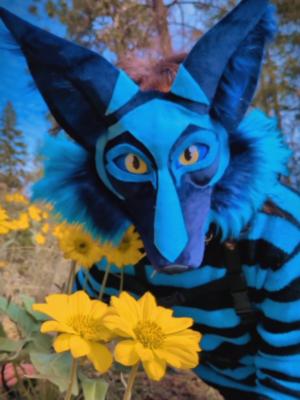 @starlit wolf