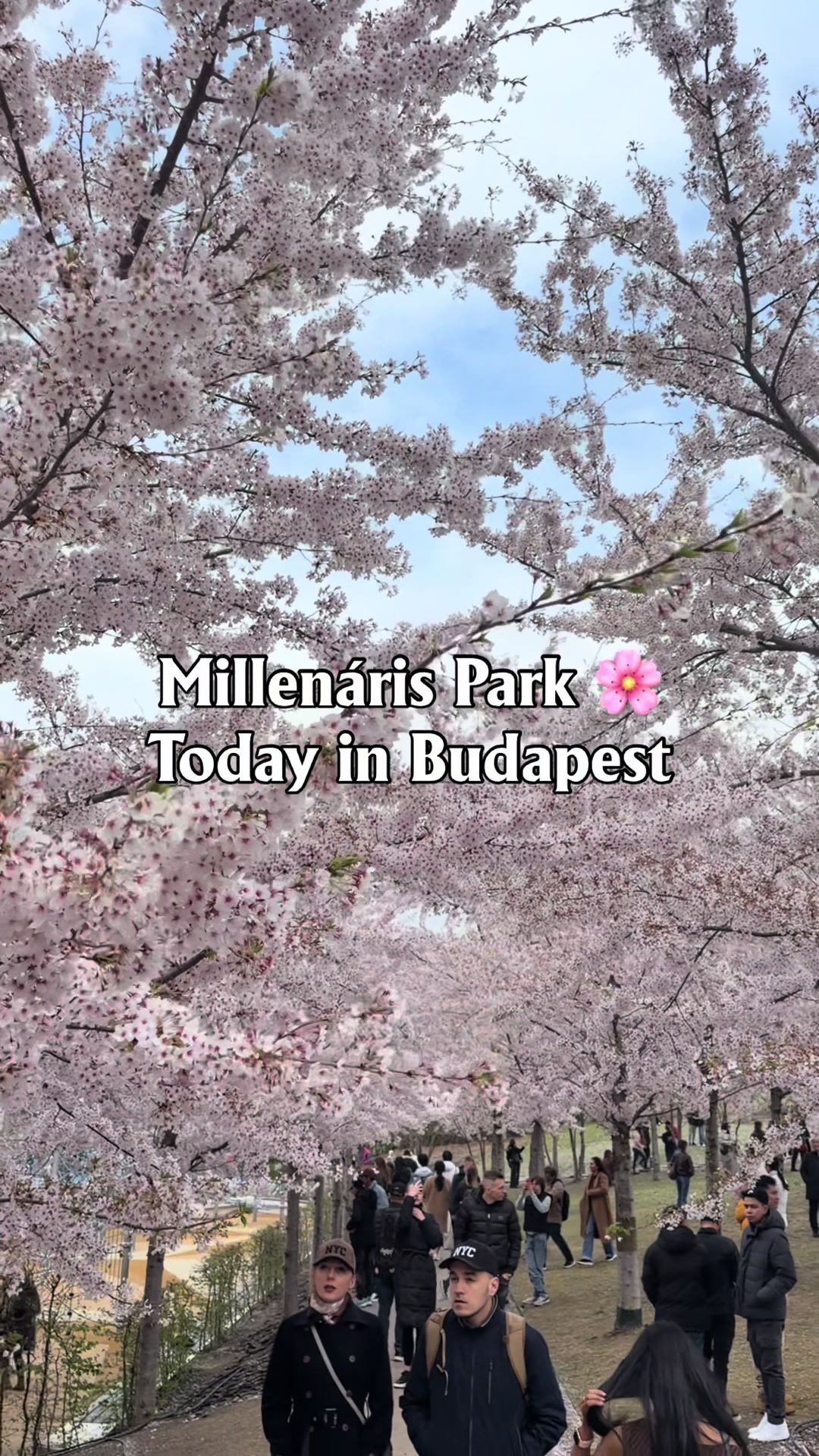 @budapestforliving