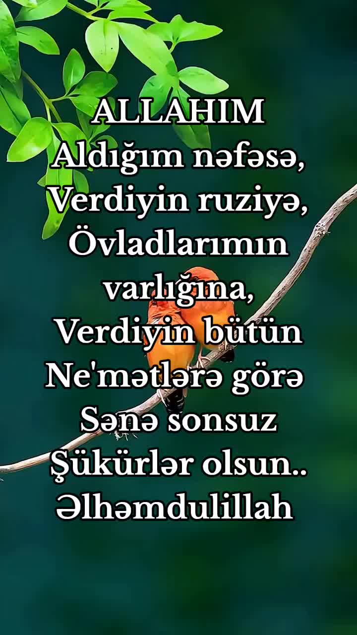 @DİNİM İSLAM