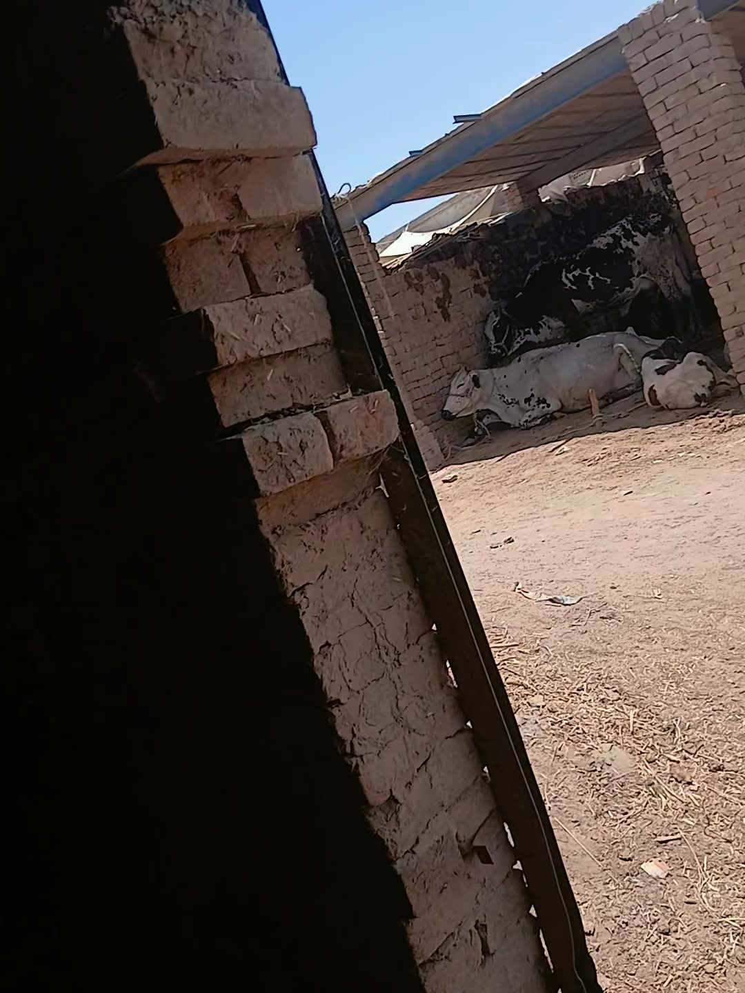 @Lala Tahir jalalpuri