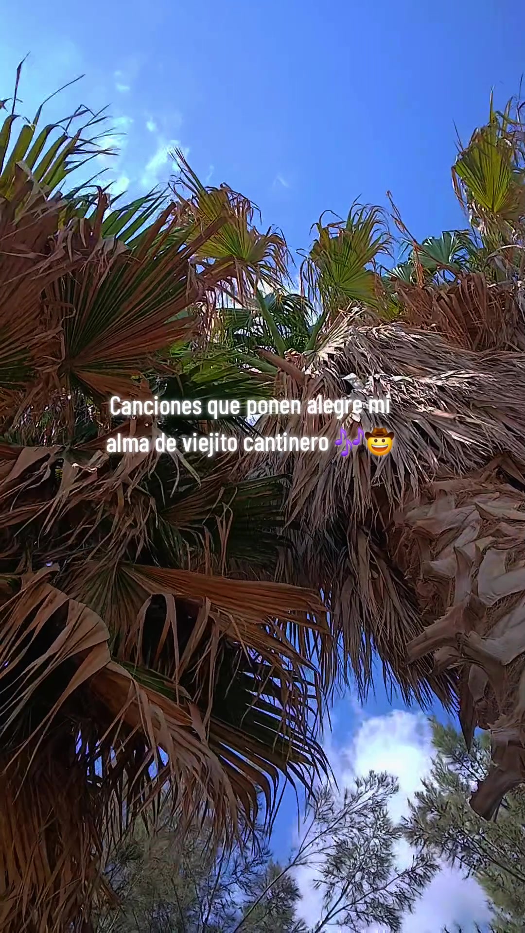 @Leyber 👻