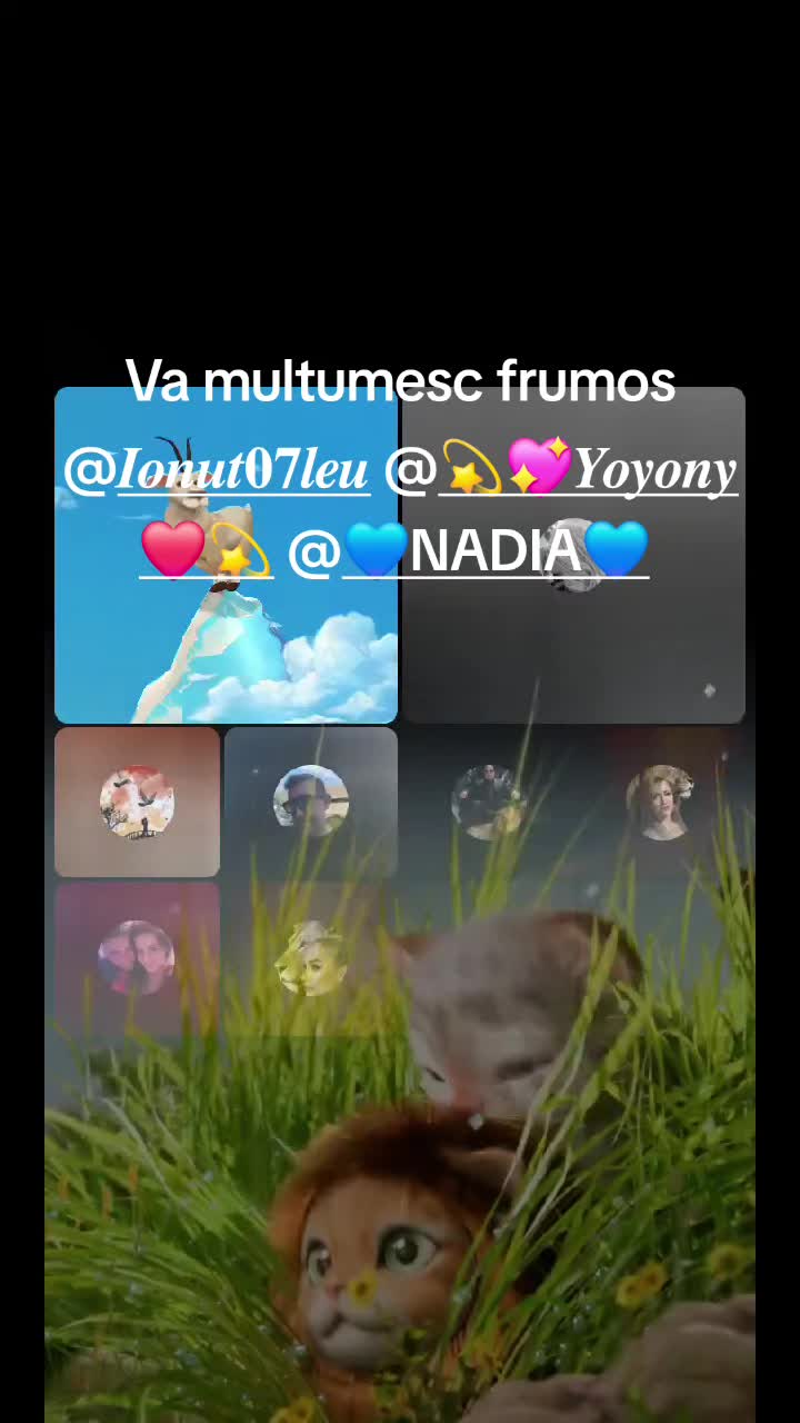@Crina123