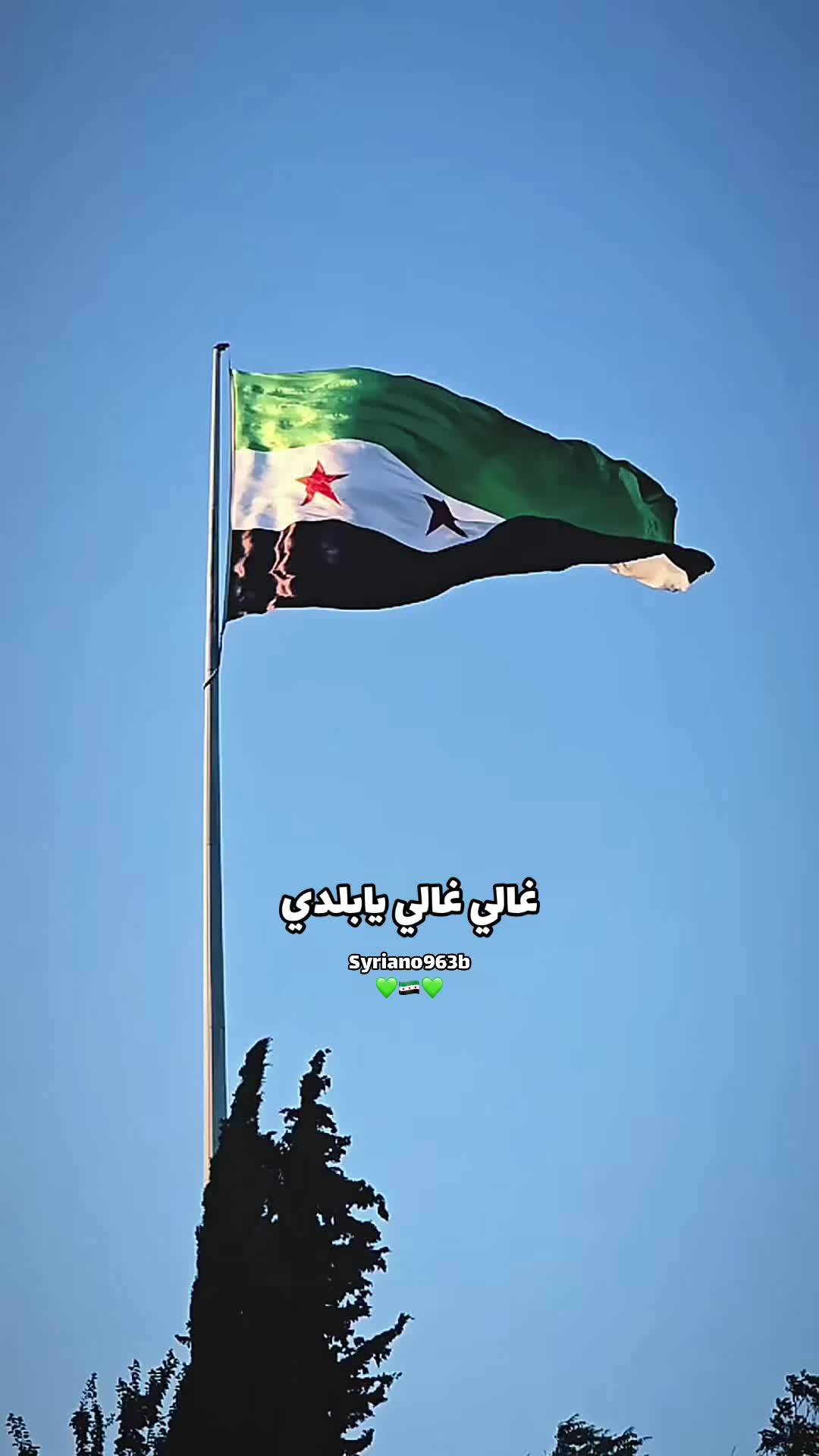 @Syriano/سريانو🇸🇾🦅