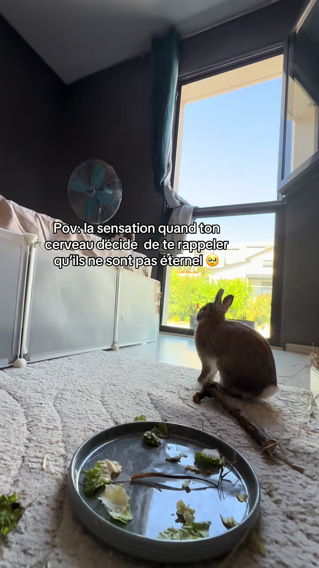 @Arizona🐰🤎