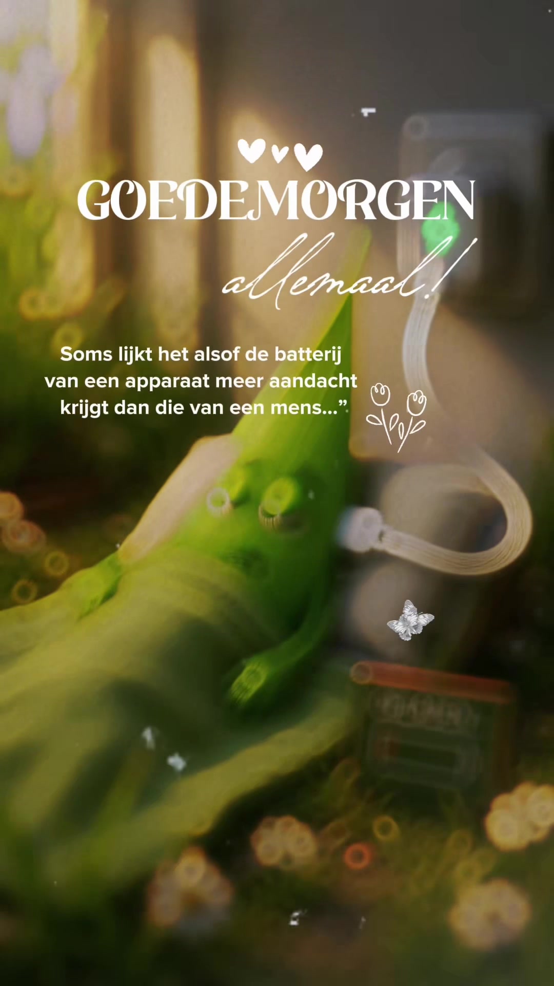 @Grassprietje 🌱