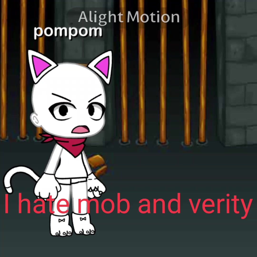 @pompom_cool2