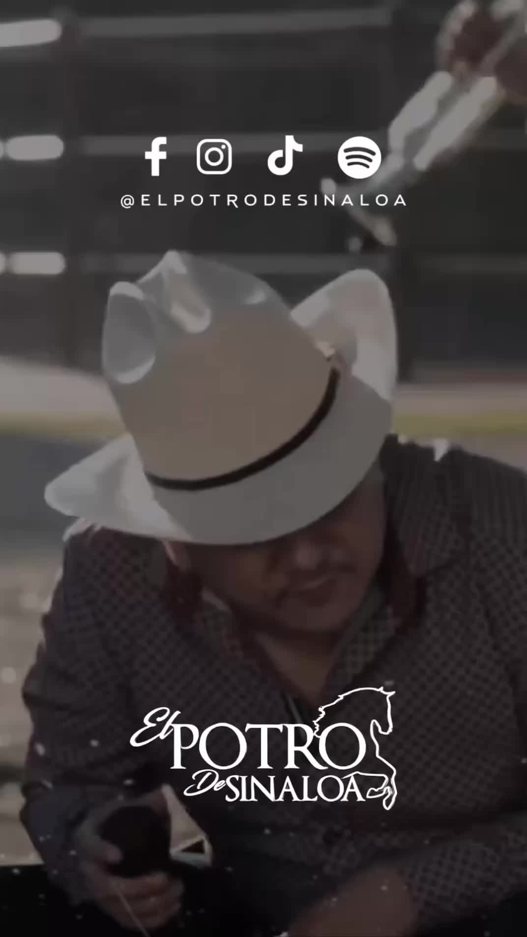 @El Potro de Sinaloa