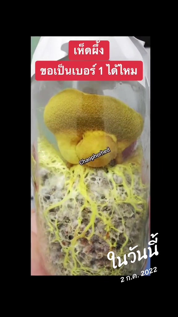 @เกษตรกรรม บูรณาการ