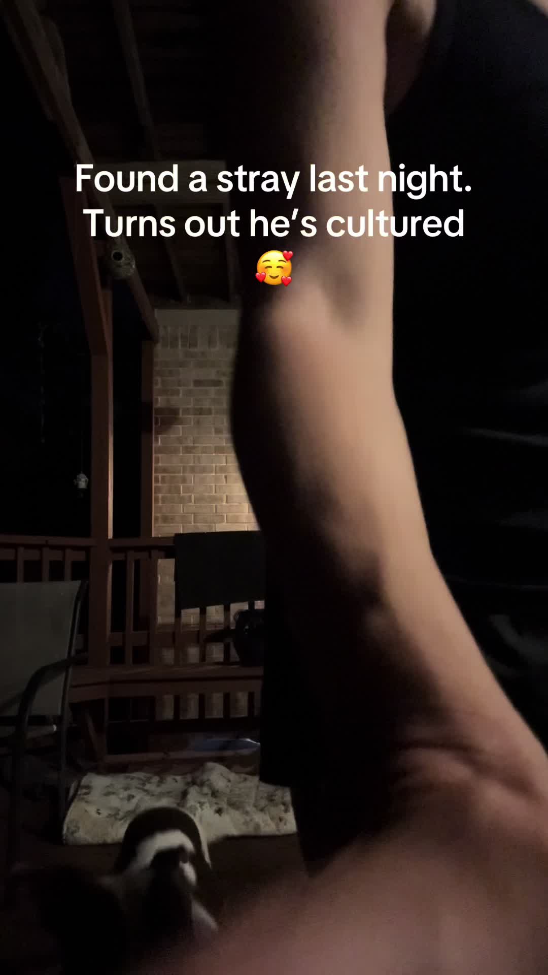 @tamperproof22