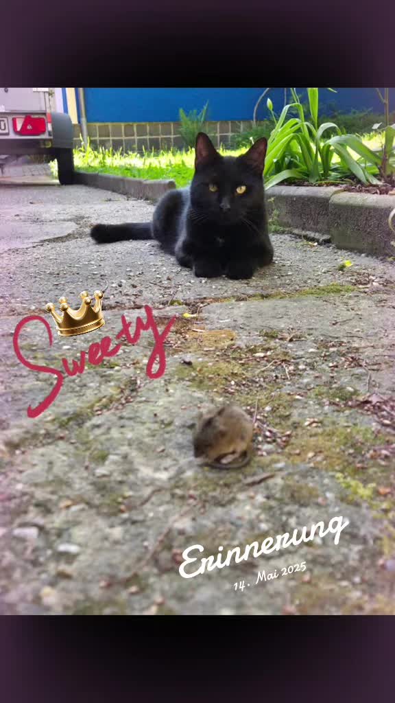 @👑😼Malia Die Königin😼👑