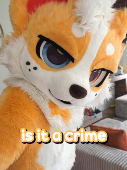 @Corgi