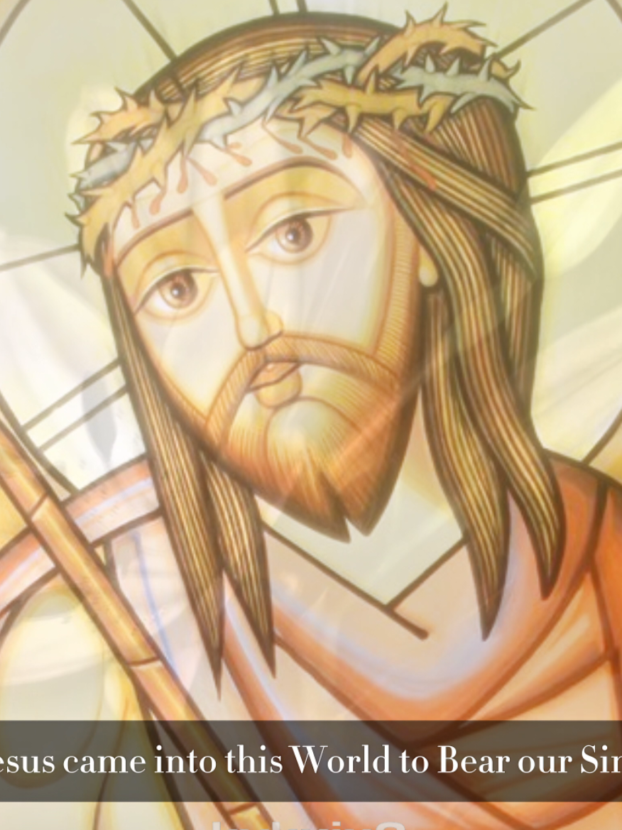 @✥𝚈𝚘𝚑𝚗✥