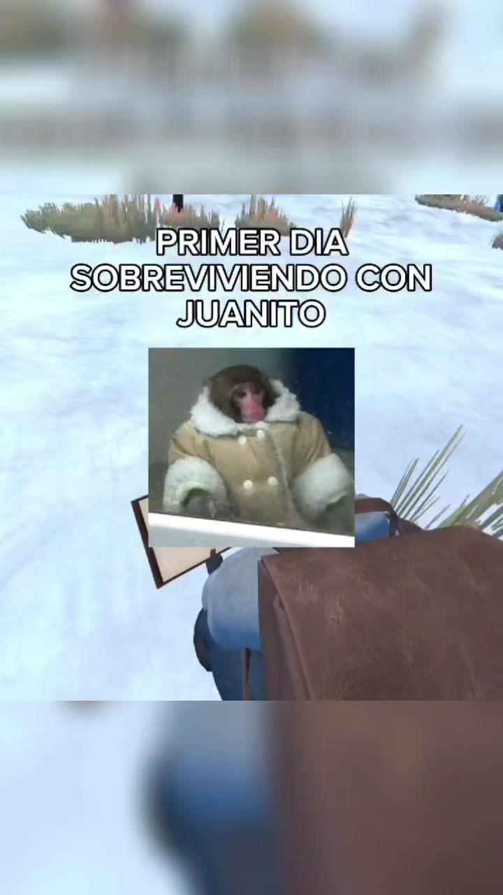 @BolilloVR
