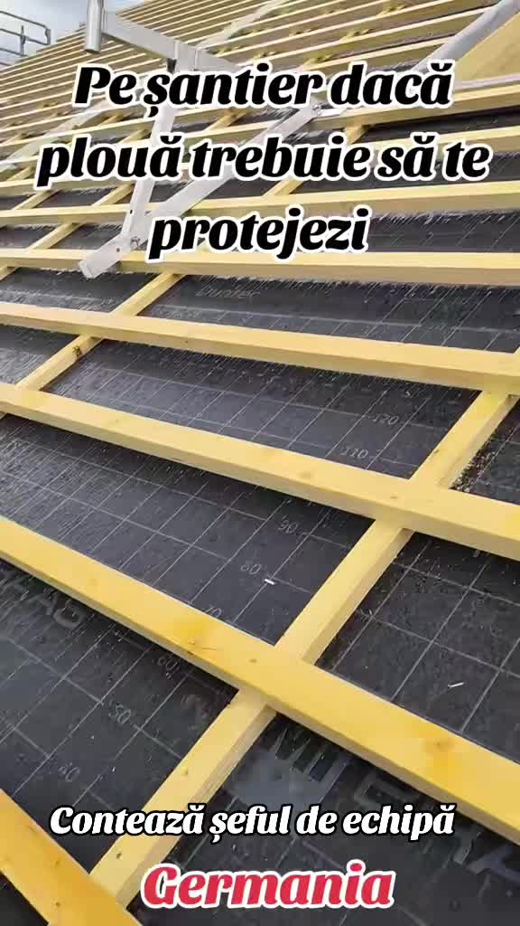 @Bibi