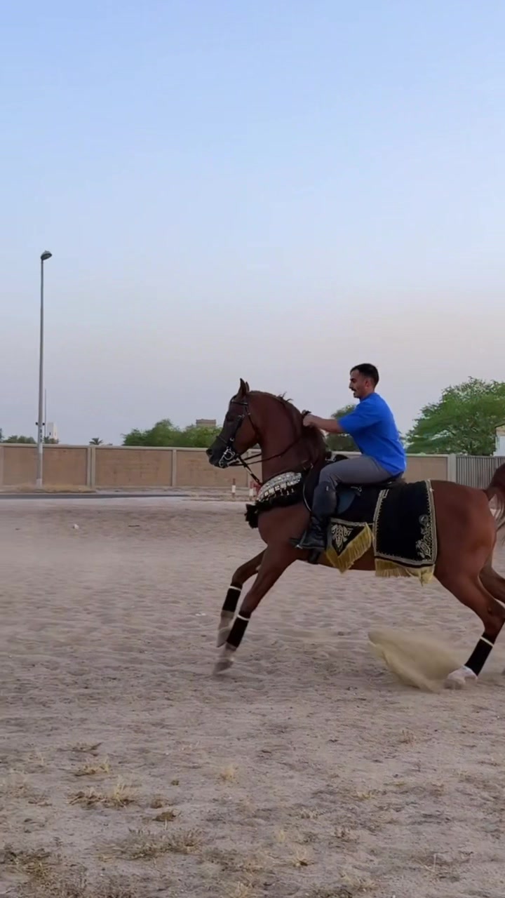 @ثـامر الشـلاش 🐎🤎.