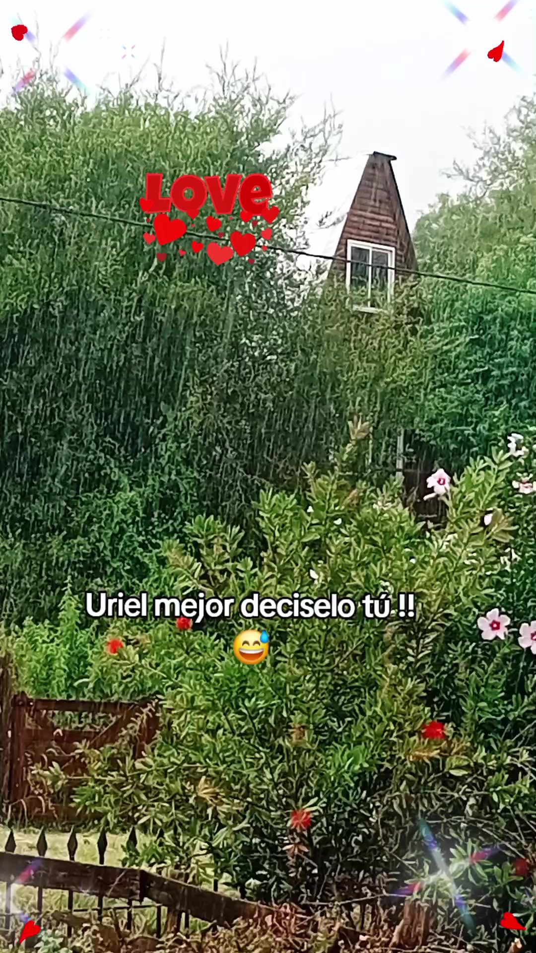 @papá_mono_18