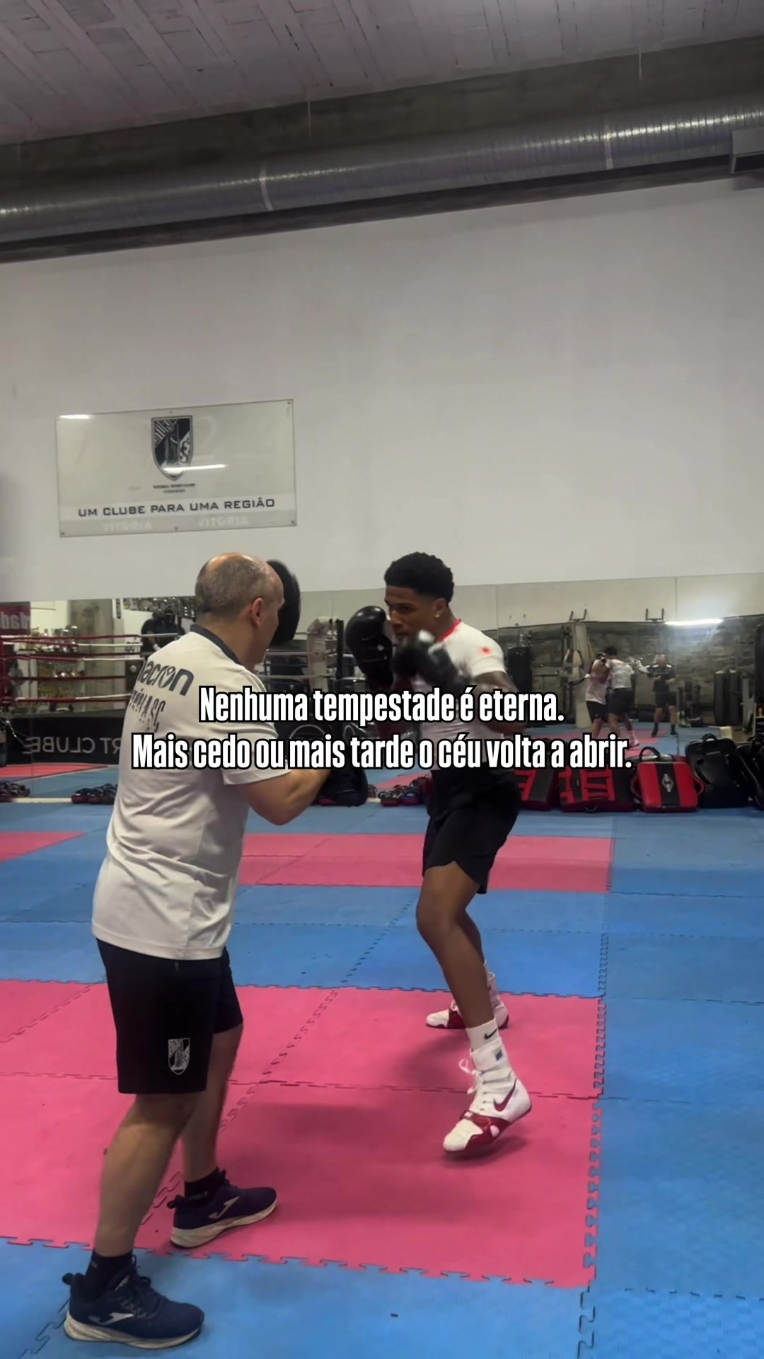 @Celestino Lima