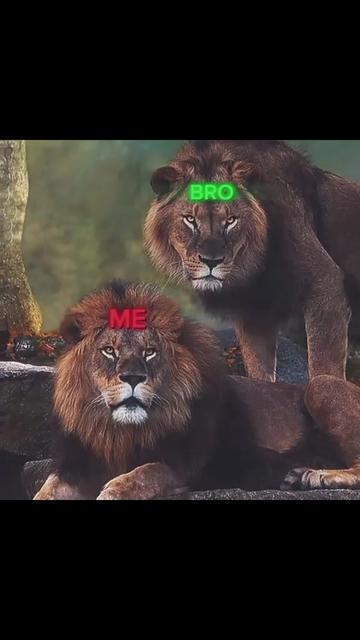 @ÂMÎŇÊ 🤪❤️🩹