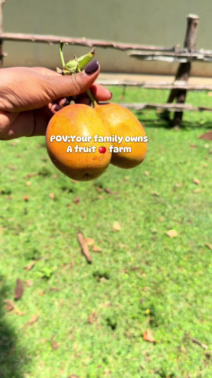 @Florida Diaries