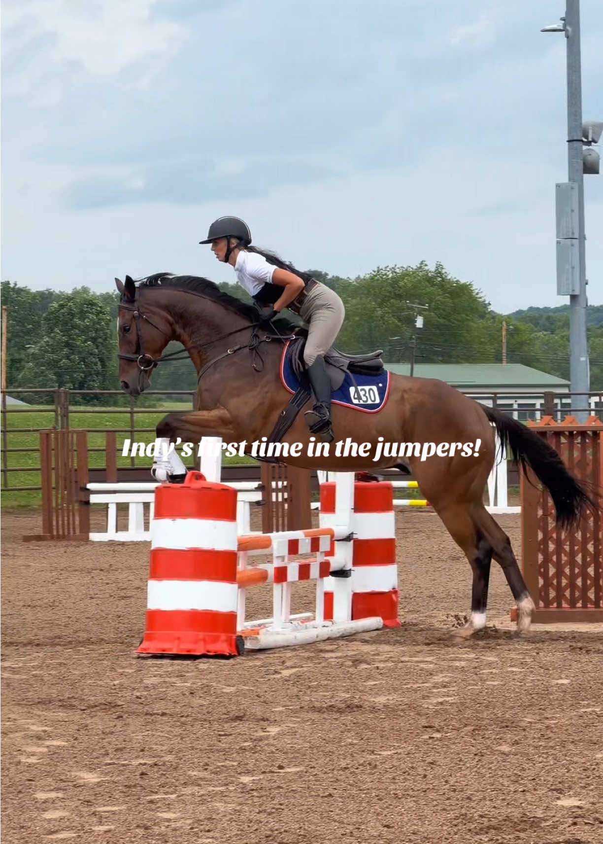 @Lunar Hill Equestrian