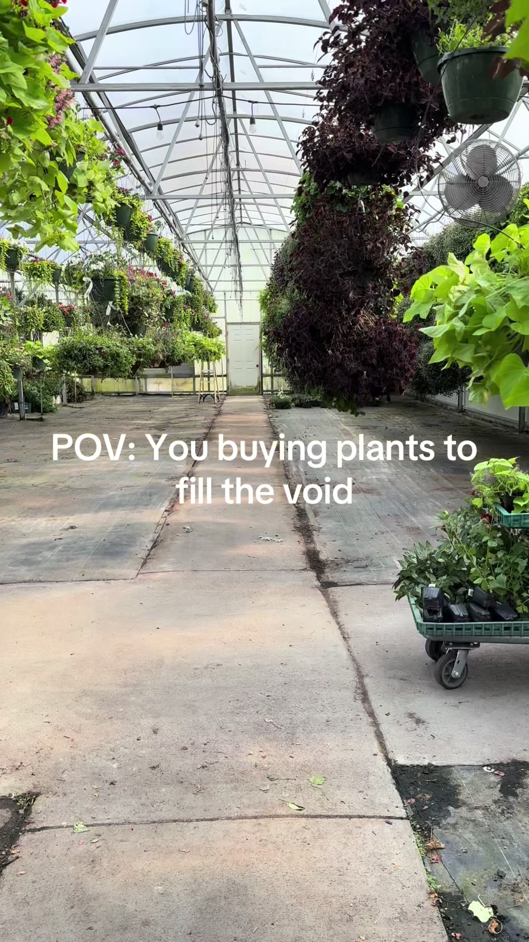 @Liv Floral