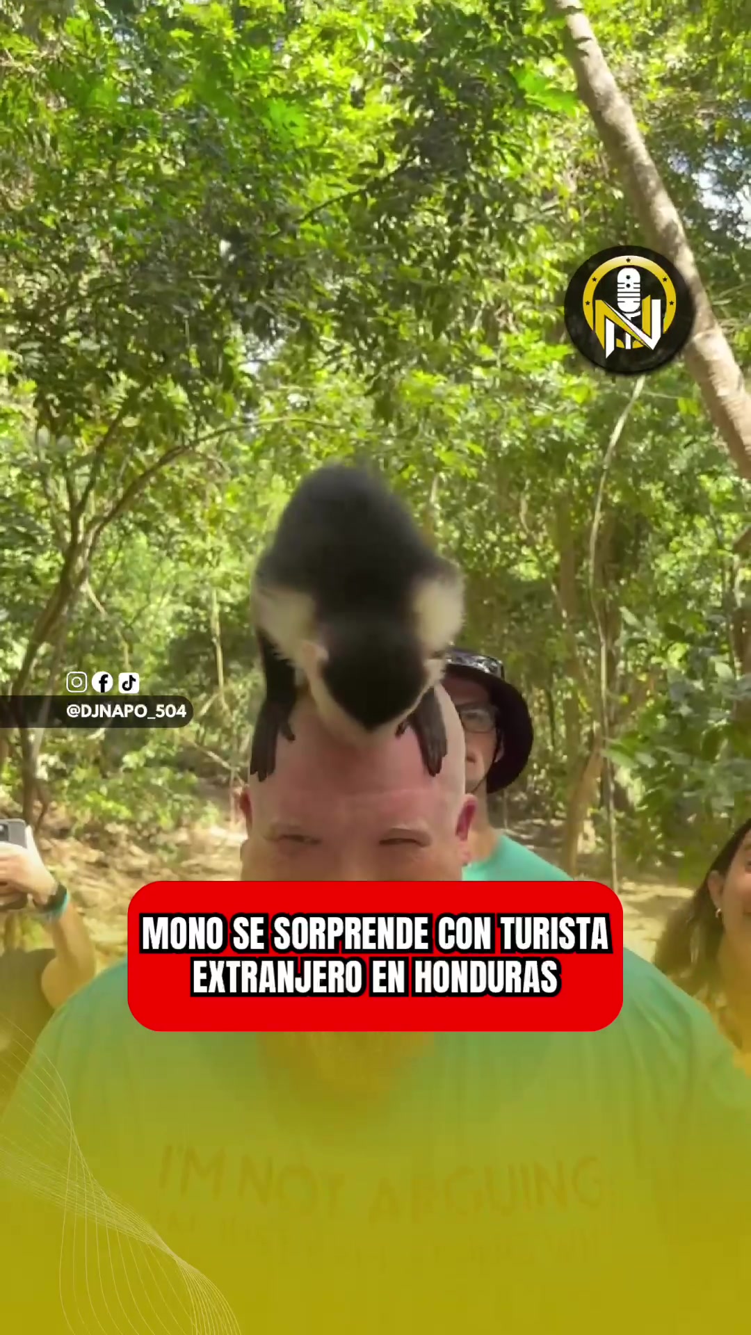@NapoNoticias