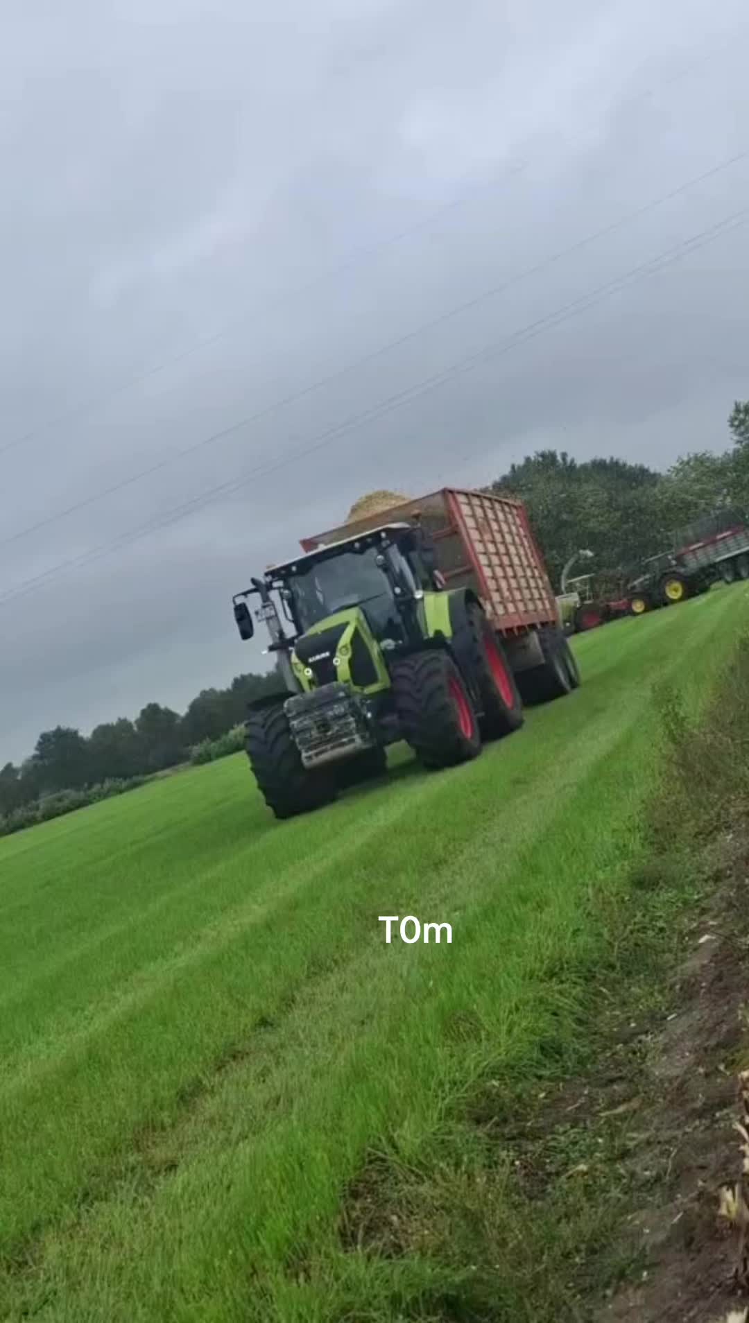 @t0m