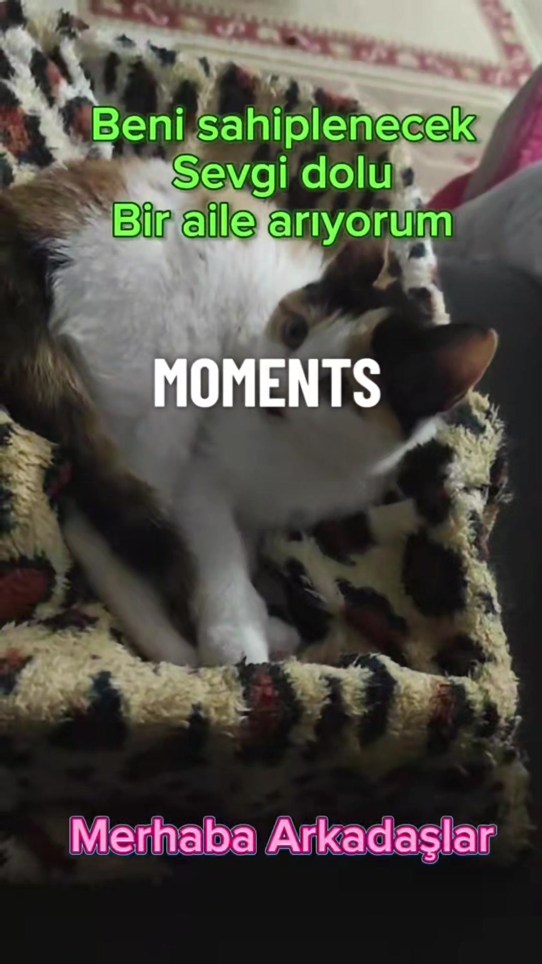 @Muhteşem Hayatlar 369