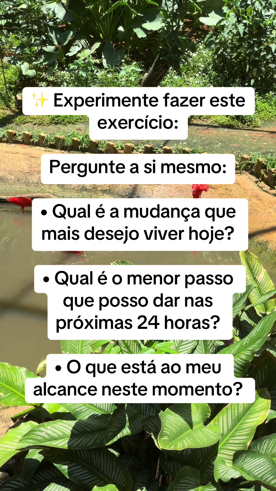 @Vanessa E. Santos | Terapeuta
