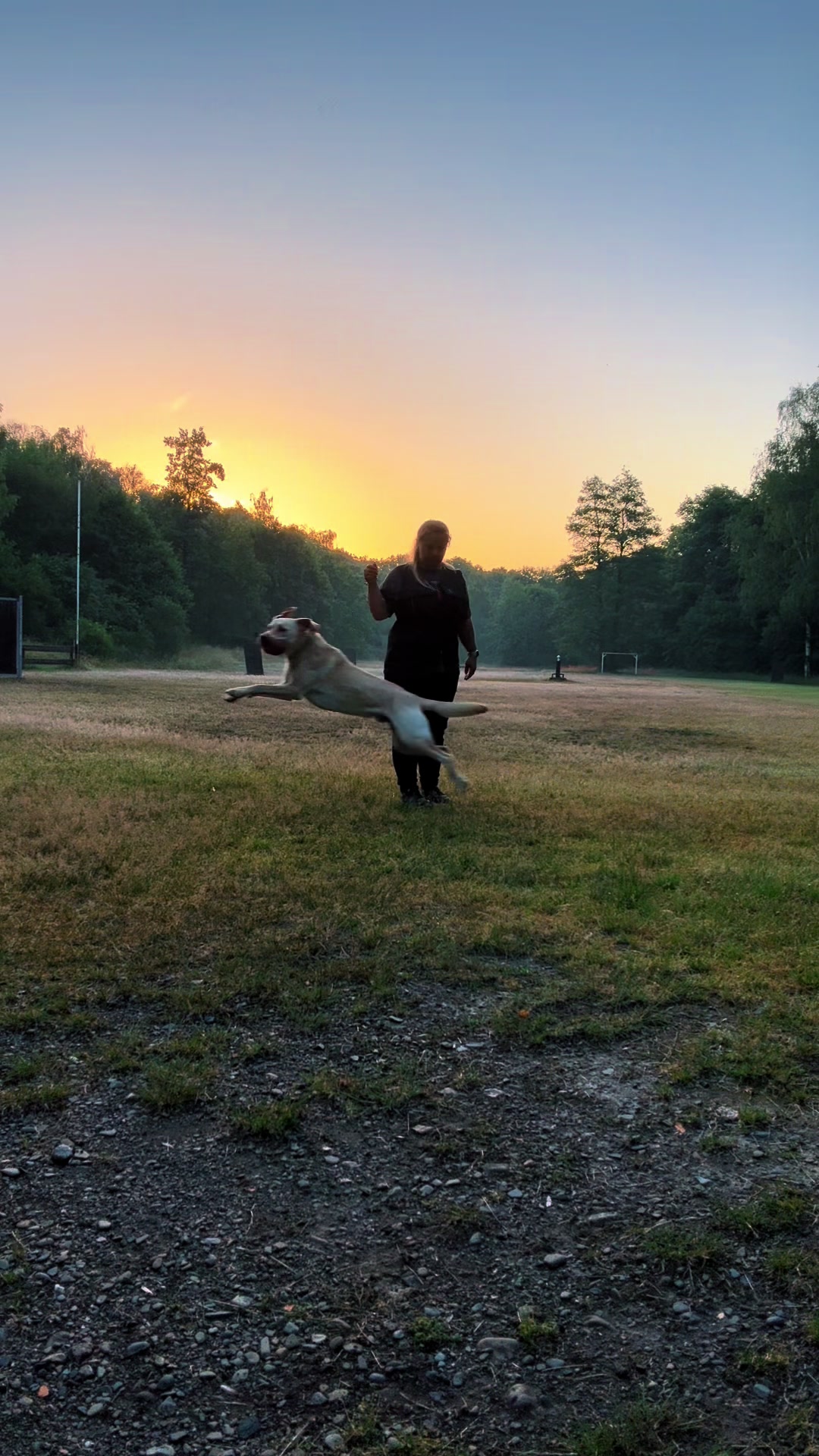 @harzerhunde
