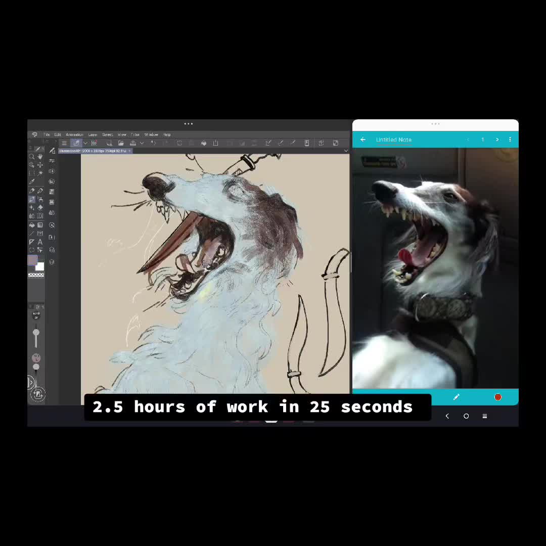 @⋆noc⋆