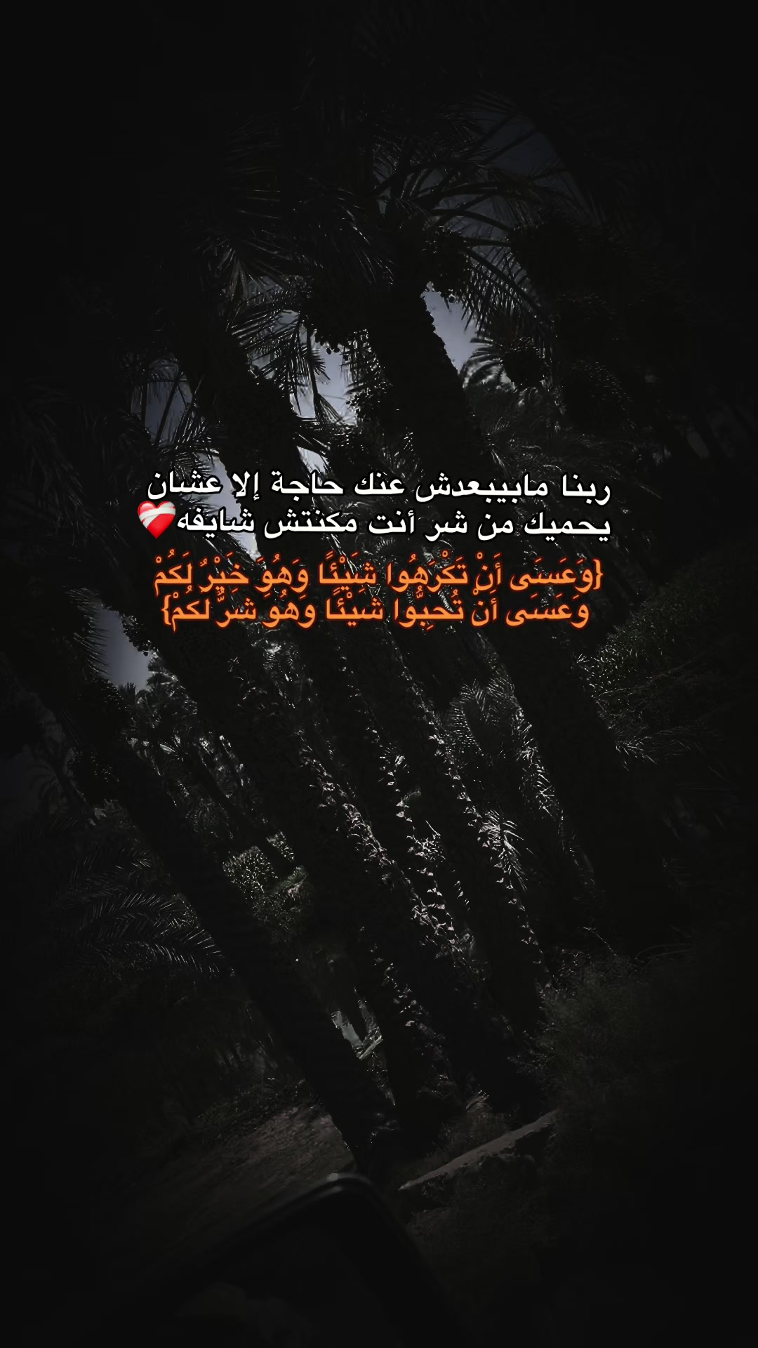 @sayed max38✌️