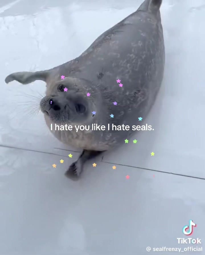 @BaikalSealHugger