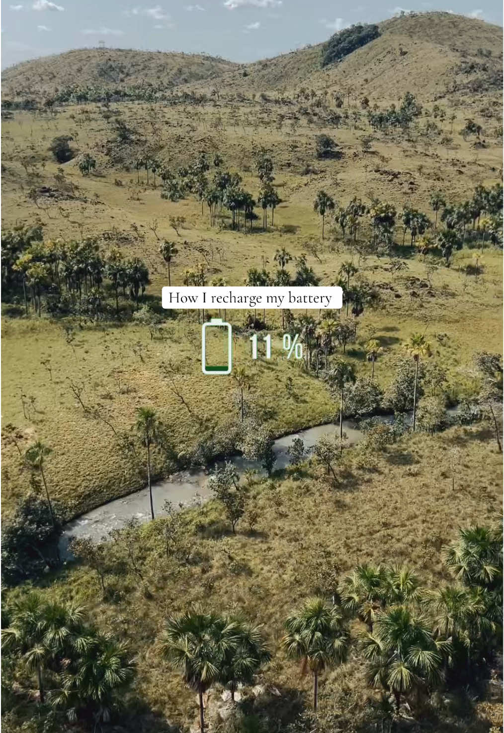 @Mercedes In The Jungle